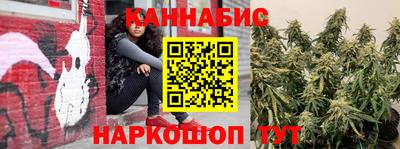 прущая мука Ачхой-Мартан