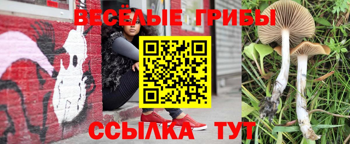 Псилоцибиновые грибы прущие грибы  купить наркоту  Галлюциногенные грибы Magic Shrooms  Белово  Вход с VPN 