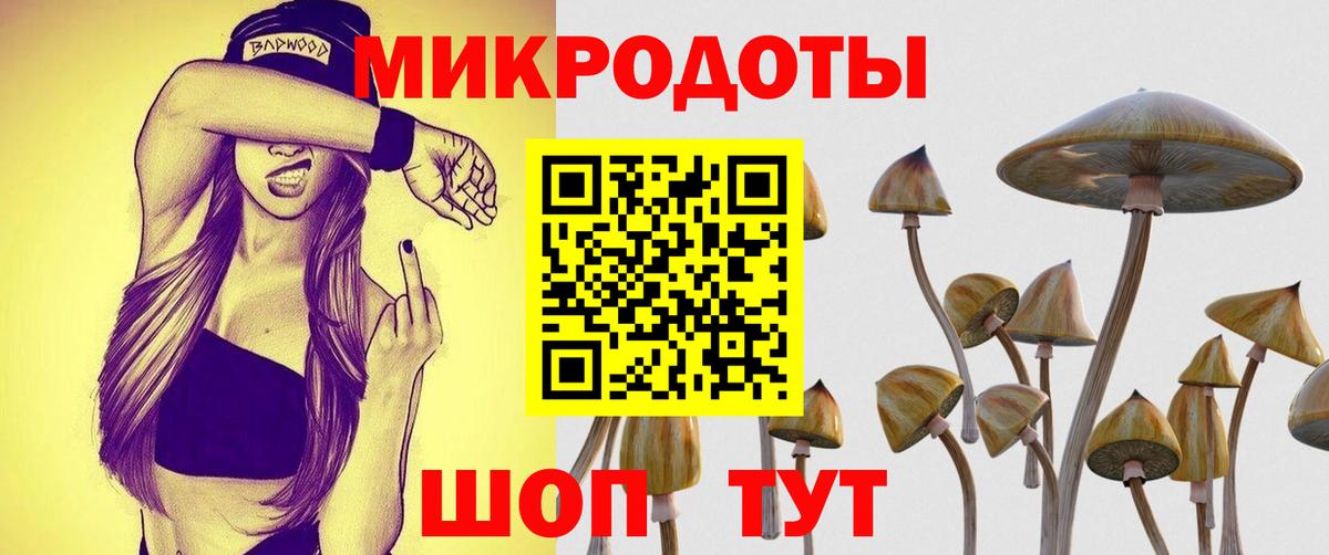 Псилоцибиновые грибы ЛСД Белово
